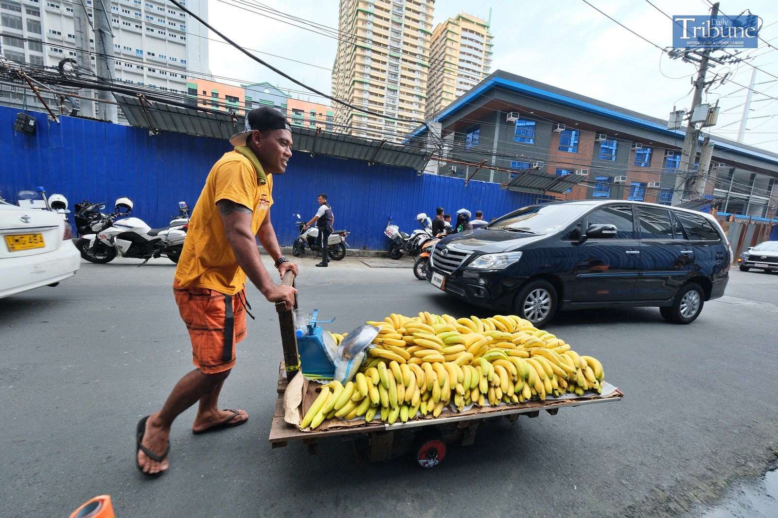 TRIBUNE-Bananas